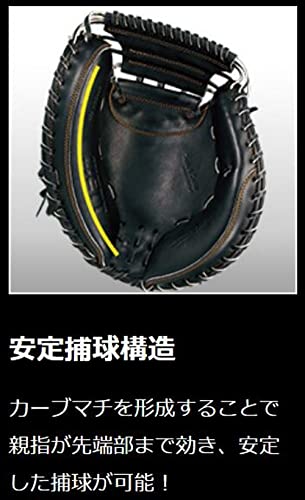 プロステイタス 6