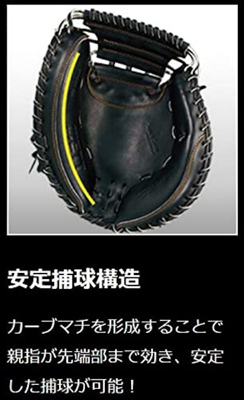 プロステイタス 6