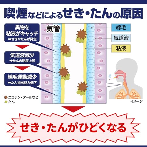 ダスモック SPa 3