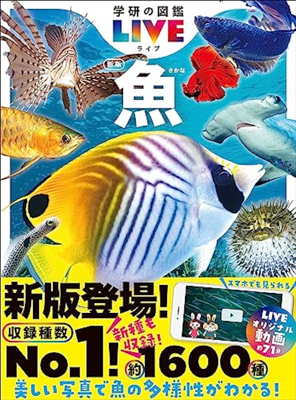 魚 新版 1
