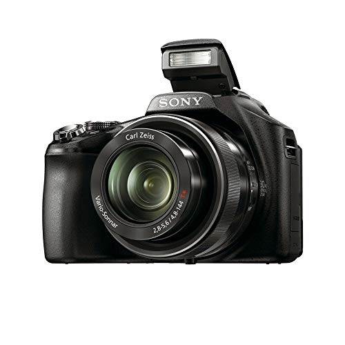DSC-HX100V 2