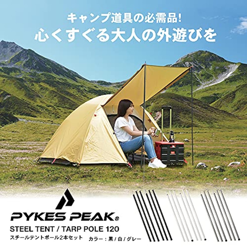 テントポール 2