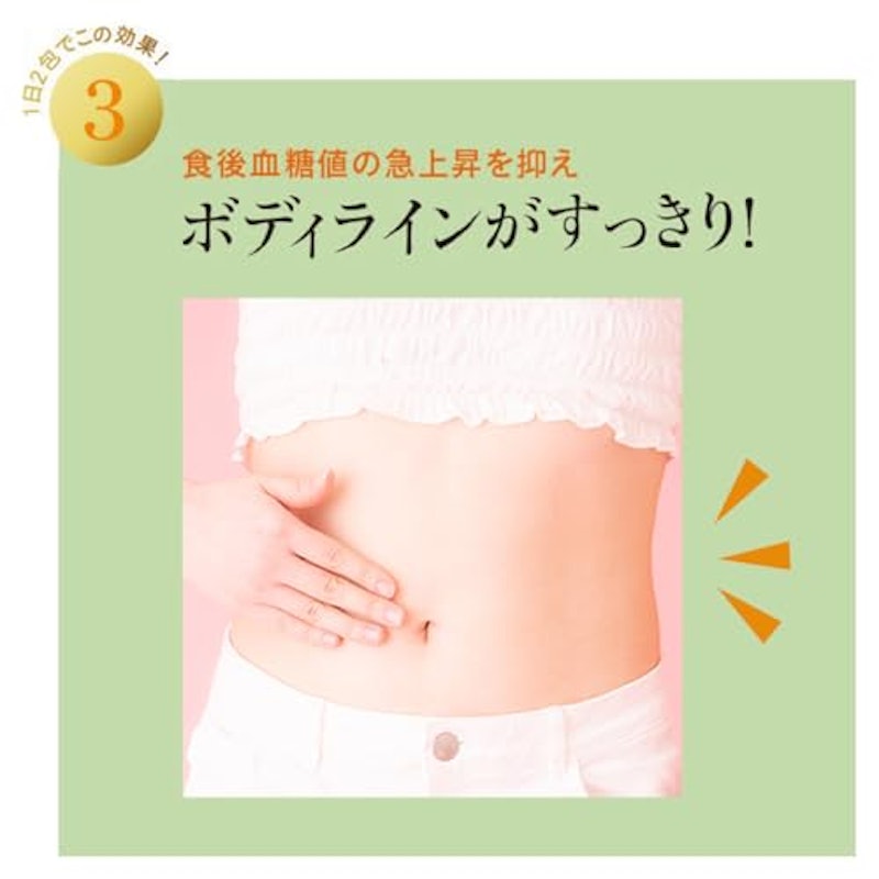 リセットファイバープラス 5