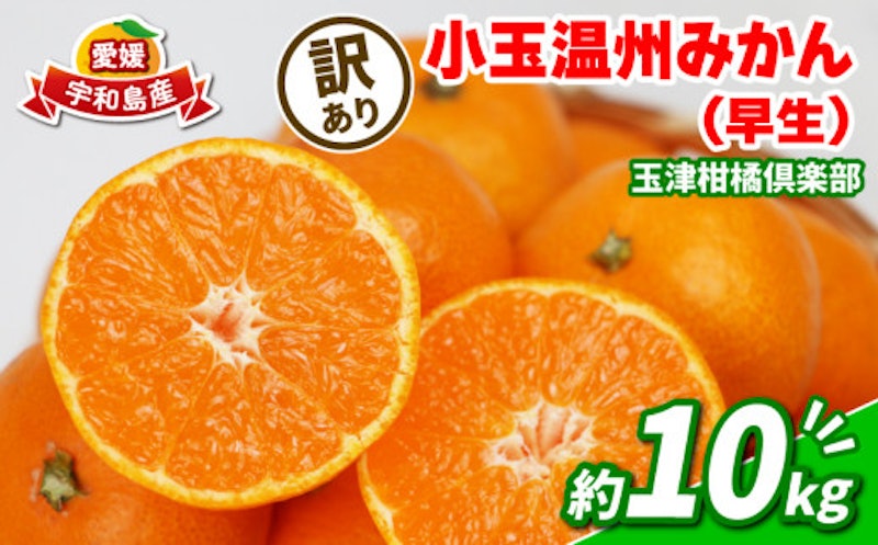 温州みかん 早生 1