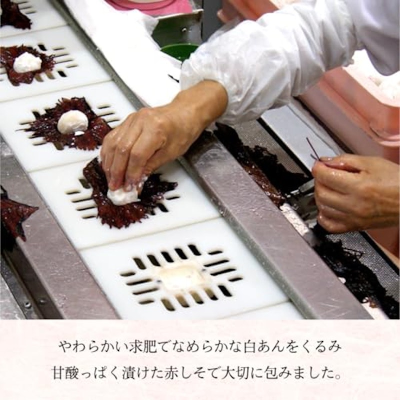 水戸産梅「ふくゆい」 3