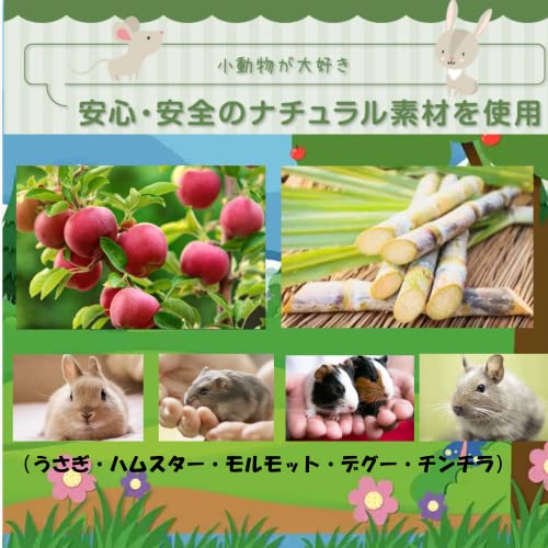 小動物かむおもちゃ 4