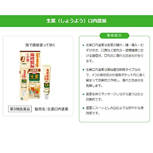 口内塗薬 3
