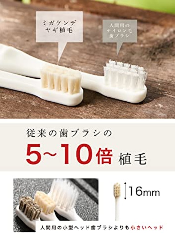 柔らかい天然毛歯ブラシ 3