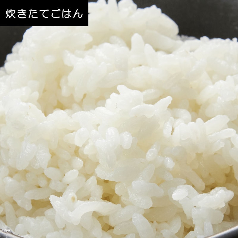 ジャー炊飯器 9