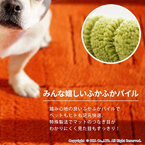 PET 5