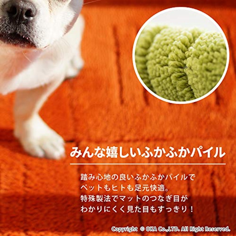 PET 5