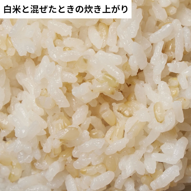 半生発芽玄米 味自慢 7