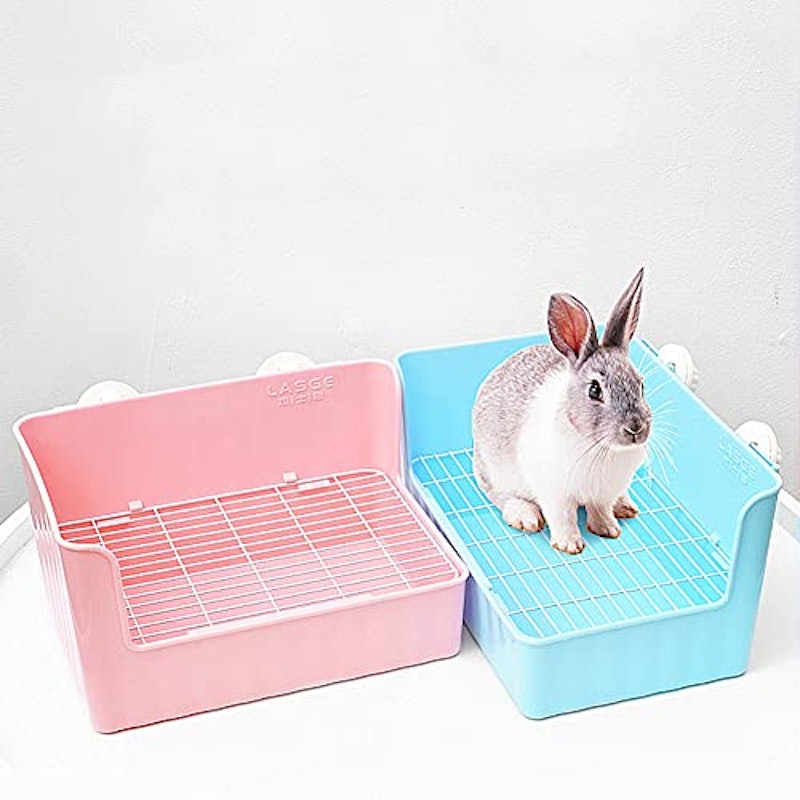 うさぎトイレ 5