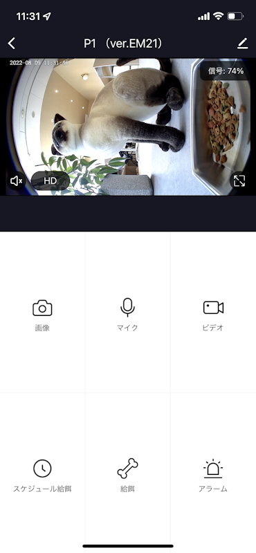 ペット自動給餌器 Take-One P1 8