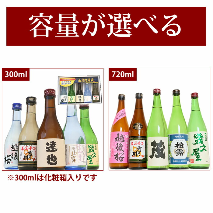 名入れ可能 日本酒 飲み比べセット 10