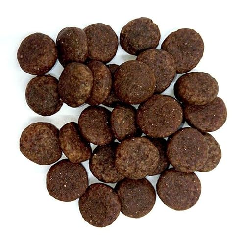 高級ドッグフードのおすすめ人気ランキング【2025年】 | マイベスト