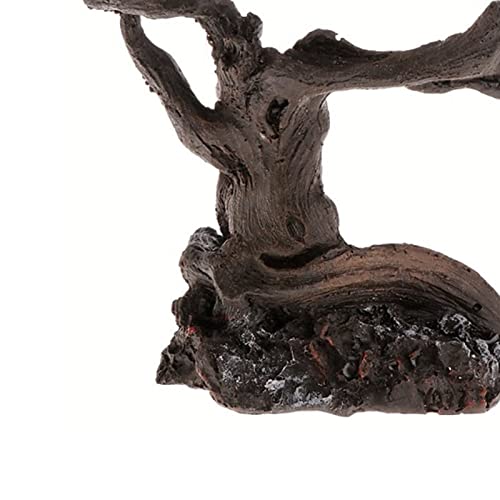 流木風登り木 3