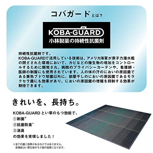 KOBA-GUARD い草ラグマット 5