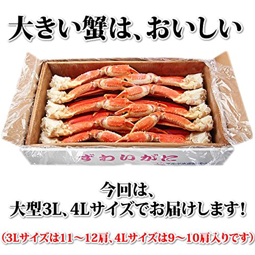 特大ずわいがに脚 4