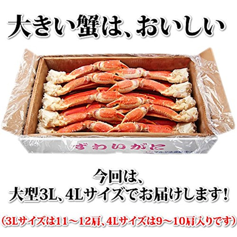 特大ずわいがに脚 4
