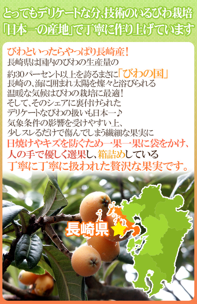巨大びわ甘香 訳あり 4