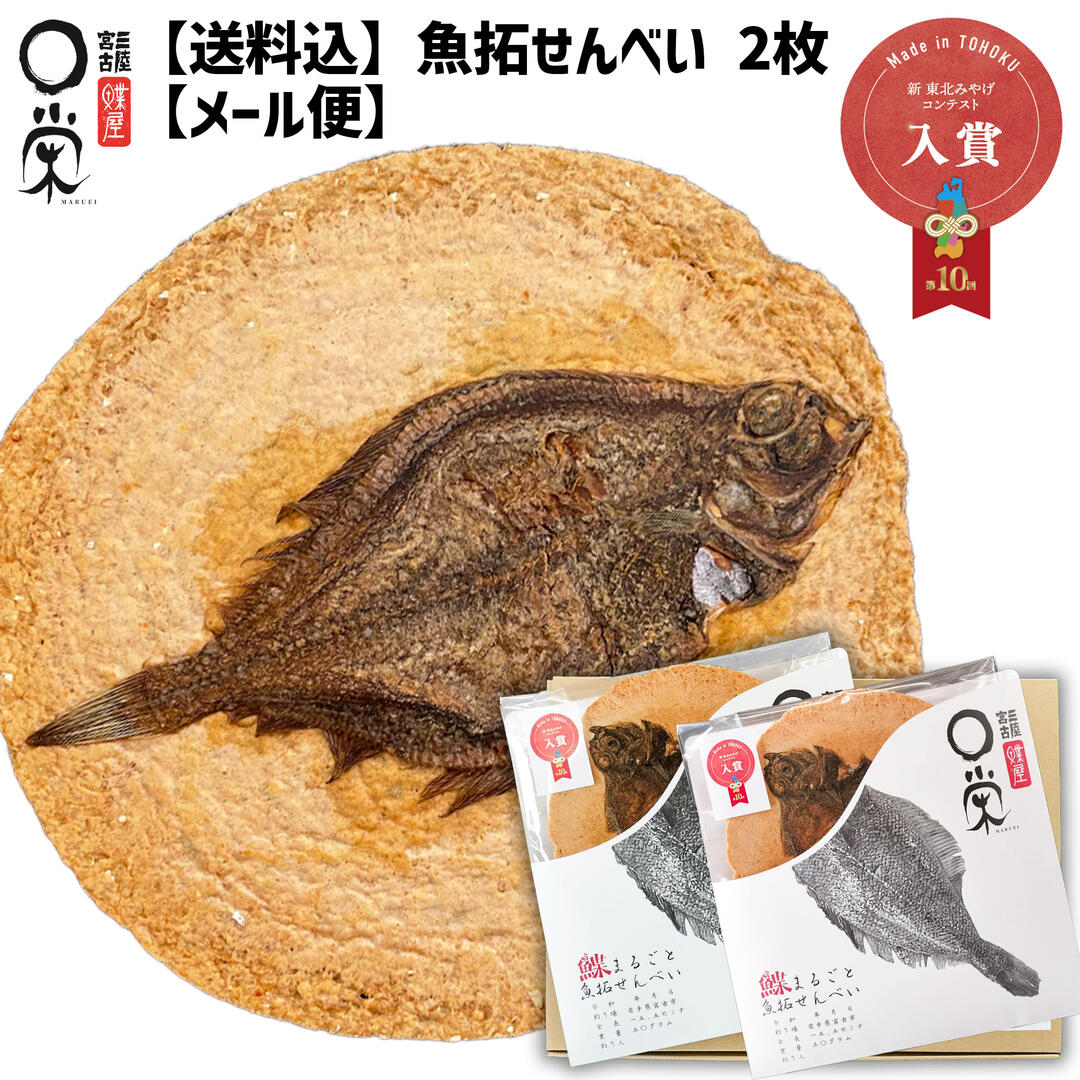 かれいまるごと 魚拓せんべい 1