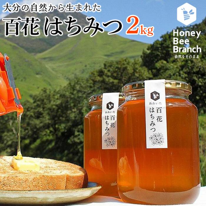 おおいた百花はちみつ 2