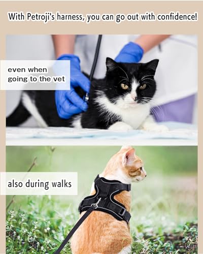 猫用ハーネス 3