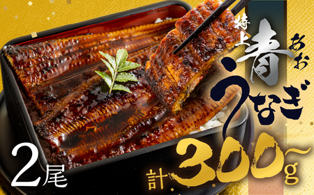 厳選 幻の青うなぎ 蒲焼 1