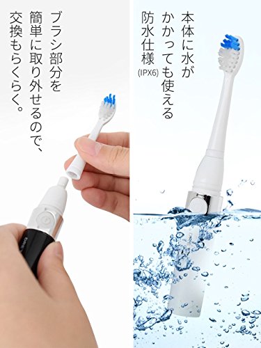 (まとめ)DRETEC ドクター・ソニック 交換用ブラシ KB-303BL〔×10セット〕(代引不可) まとめ)DRETEC ドクター・ソニック 交換用ブラシ KB-303BL×10セット