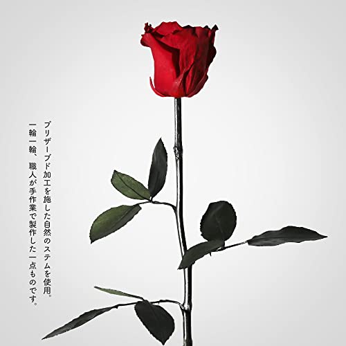 プリザーブドフラワー 3