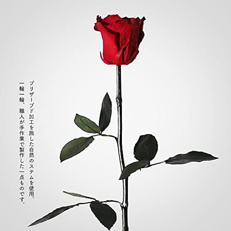 プリザーブドフラワー 3