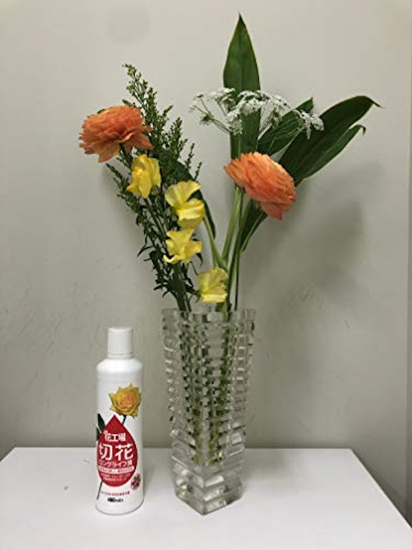 花工場切花ロングライフ液 3