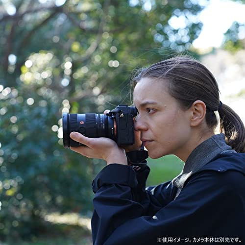 FE 24-70mm F2.8 GM II 22
