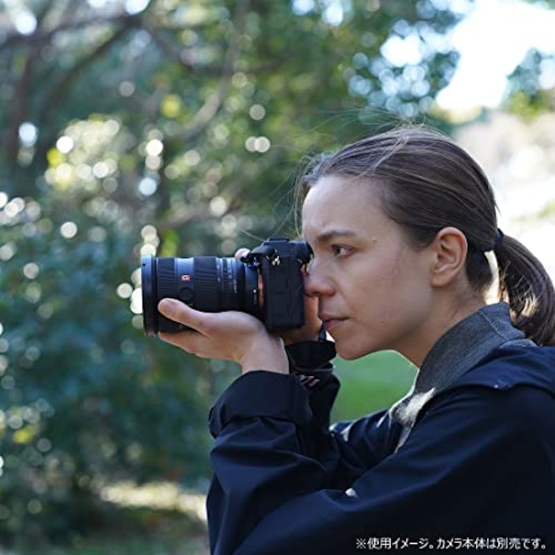 FE 24-70mm F2.8 GM II 22