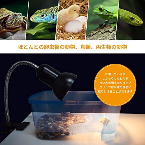 爬虫類紫外線ライト 3