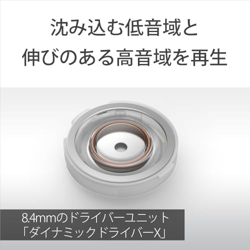 ノイズキャンセリングイヤホン LinkBuds Fit 13