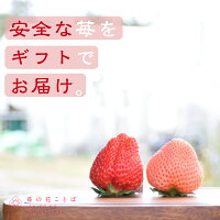 越後姫 2