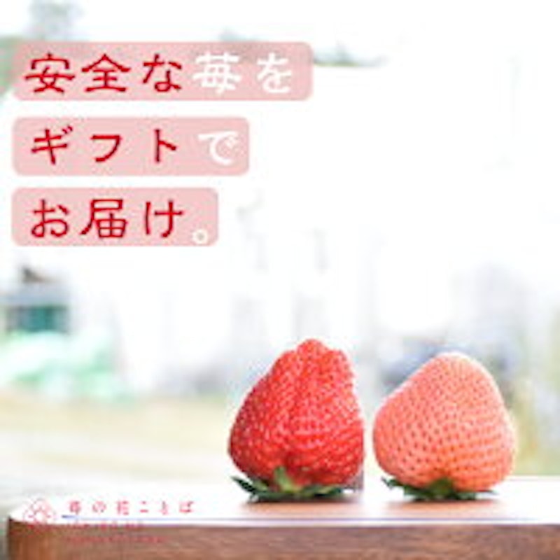 越後姫 2