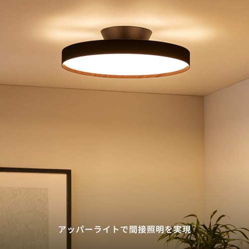 6000 LED-ceiling light 2