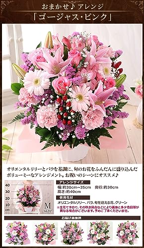 おまかせアレンジ 2