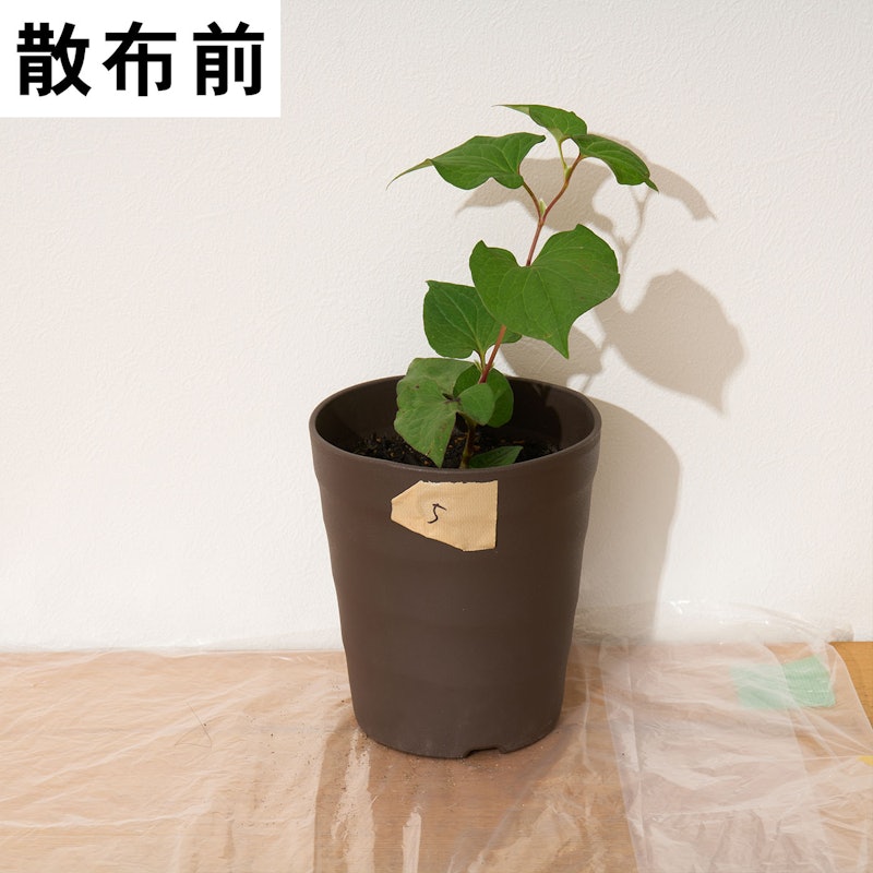 一刀両断 4