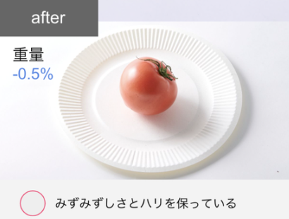 162L 冷凍冷蔵庫 15