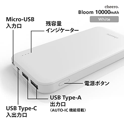 Bloom 10000mAh 3