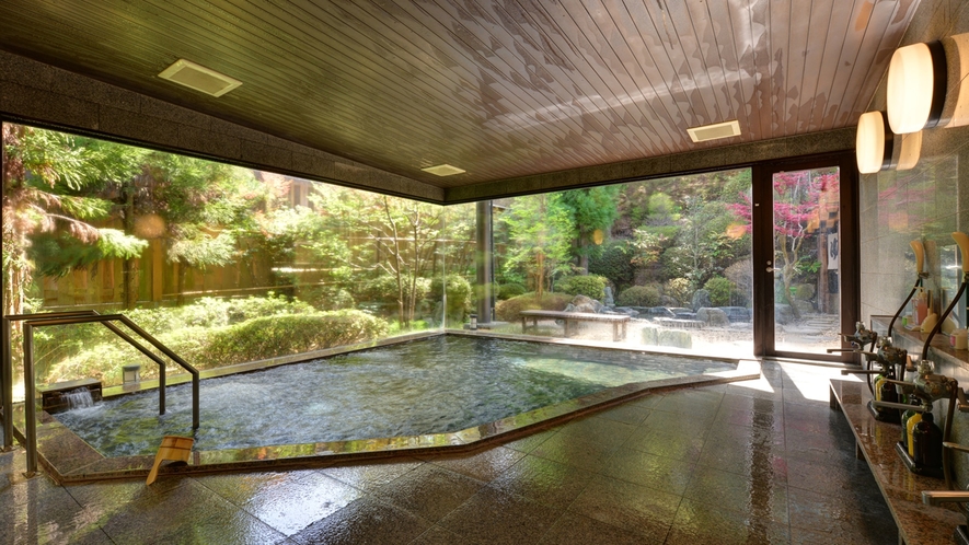 奥天竜 不動温泉 佐和屋 3