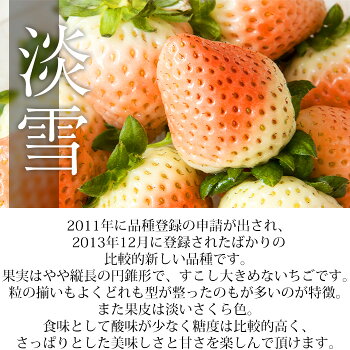 三色いちご 金色玉手箱 4