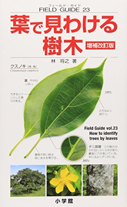 フィールド・ガイドシリーズ23 葉で見わける樹木 増補改訂版23 1
