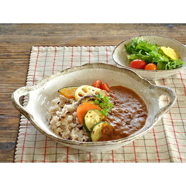 カレー皿 1