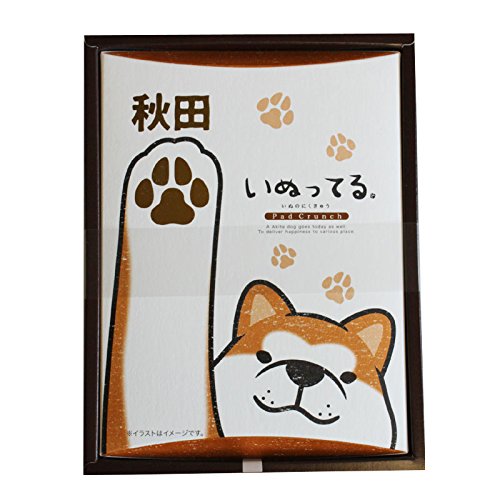 秋田いぬってる 1