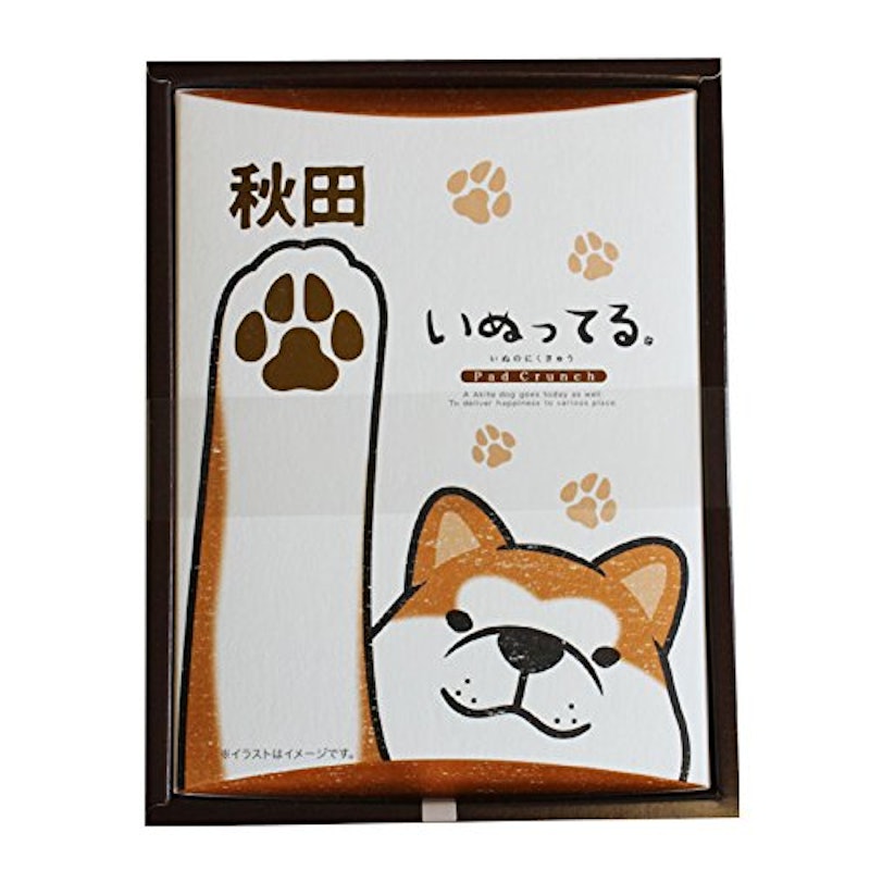 秋田いぬってる 1